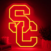 AHlove Team Neon Sign on wall decor adds vibrant ambiance to any room.