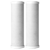 AO Smith sediment filter two-pack ready for replacement to reduce incoming sediment