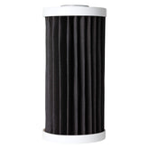 AO Smith 4.5x10 5-micron carbon filter for whole-house sediment reduction.