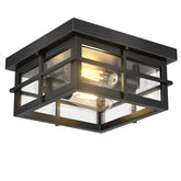 Asnxcju modern outdoor ceiling light with a black finish and two lights for porch illumination