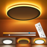 BLNAN 13in center light with adjustable color temperature for versatile daytime lighting.