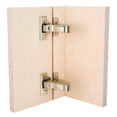 Blum Clip Top 110 Degree hinge close-up highlighting BLUMOTION soft close