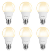 BUBO A19 LED bulb six-pack on display for energy-efficient home lighting