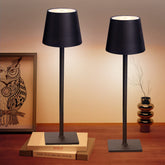 CHLORANTHUS cordless table lamp setup shows versatile placement for ambient lighting