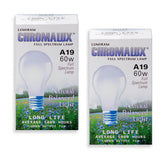 Chromalux frosted 60W bulb front view for versatile, even lighting.