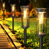 COXSENI solar pathway light with a durable lens for bright garden illumination.