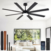 Depuley 66 inch ceiling fan with two color blades for versatile indoor or outdoor spaces