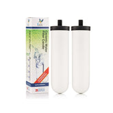 DOULTON Berkefeld filter candle, Berkey-compatible, clean water for daily use.