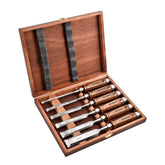 EZARC 6-piece wood chisel set in wooden case for precise carpentry tasks