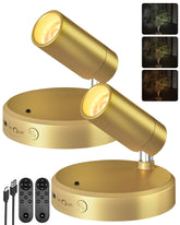 EZVALO LED spotlight with remote control highlights artwork and plants