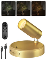 EZVALO LED Spotlight Indoor with remote highlighting artwork and displays