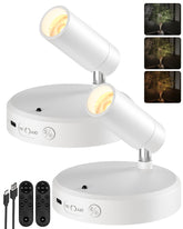 EZVALO spot light indoor with remote control highlights artwork with adjustable brightness.