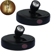 FFKWLTONG LED Spotlight Indoor 2Pack highlights artworks and plants with adjustable warm light.
