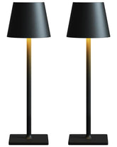 Fizrice cordless table lamp two-pack for flexible indoor and outdoor lighting