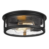 FOITTON black flush mount 2-light with metal cage for kitchen ambience