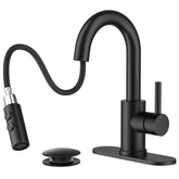 FORIOUS matte black faucet with pull-down sprayer for versatile cleaning