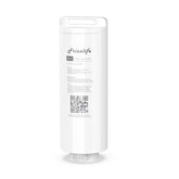 FRIZZLIFE ASR312-500G second-stage membrane delivers high-purity water for PX500.