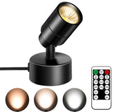 FZWLE dimmable spot light with remote control for versatile timing.