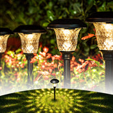 GIGALUMI 8-pack solar pathway lights illuminate with warm white glow for walkways.