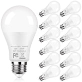GoBright 12-pack A19 LED bulbs with 5000K daylight for energizing home spaces