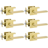 Goldenwarm gold passage handle for hallways with a durable brushed finish for everyday interior use.