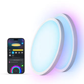 Govee ceiling light main light RGBIC color spectrum enhances room ambiance