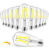 Hizashi vintage LED Edison bulb with clear glass for bright daylight ambiance