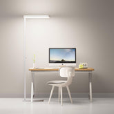 Homelist LH1 floor lamp provides broad, even room illumination for studying.