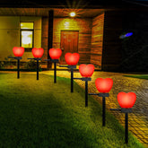 Hortsun Valentine's heart solar light on stake illuminating a garden path with warmth