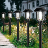 ILANCK 12-pack solar lights for outdoor pathways illuminate clearly