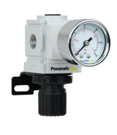 PneumaticPlus PPR2-N02BG-2 Miniature Air Pressure Regulator 1/4in NPT – Gauge, Bracket, 3-30 PSI