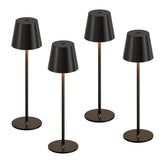 Kakanuo cordless table lamp top view with touch control and ambient options
