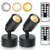 Kandicyar LED spotlight uplighting a plant for vibrant color.