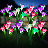 KOOPER outdoor solar lights with bigger lily flowers illuminate yards at night