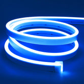 Lamomo LED neon strip with 600 LEDs for bright, even illumination.