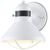 LONEDRUID Dusk-to-Dawn motion-sensor barn light illuminating a doorway automatically