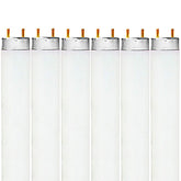 Luxrite F32T8/841 bulb close-up showing 4100K cool white light for offices.