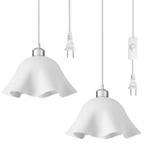 OmiSun plug-in pendant light with frosted shade enhances dining room ambiance.