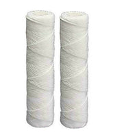 OMNIFilter RS5-DS two-pack cartridge for whole-house filtration with high dirt-loading capacity