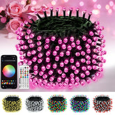 OZS 2026 pink Valentine lights set the mood with vibrant pink glow across 82ft.