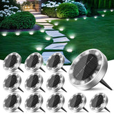 Peasur mini solar ground light pack 1 lights a garden path at night.