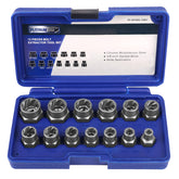PLATINUMEDGE 13-piece bolt and nut remover set in case for organized storage.