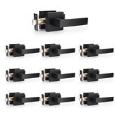 Probrico matte-black lever close-up highlights durable interior door finish.