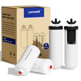 Purewell PF-4&FL-2 ceramic filter element for safer drinking water