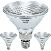 RAGFOZ Par38 halogen flood bulb lighting a porch with warm glow