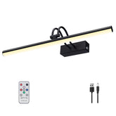 RAIFOOLLY picture light mounted on wall highlighting artwork with adjustable brightness.
