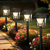 Raynic solar pathway light pack front view showing bright walkway illumination