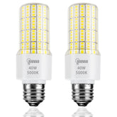 RIUVAO 2-pack LED bulbs for energy-saving, 300W-equivalent brightness
