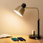 Starstrips desk lamp with dual USB ports powers devices while you work.