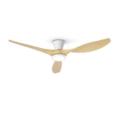 Taloya 52-inch ceiling fan with light remote in-room view for cooling and ambient lighting